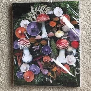 Colorful Mushroom Art Print